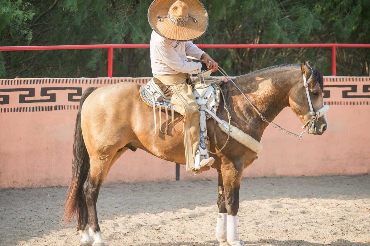A Charro on a horse in Mexico