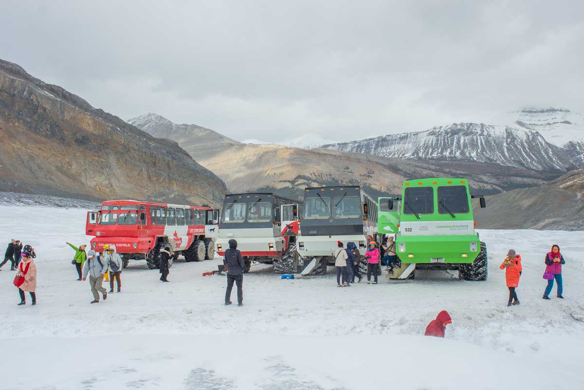 A groupd of Ice Explorer all-terrain vehicles on the Athabasca Glacier