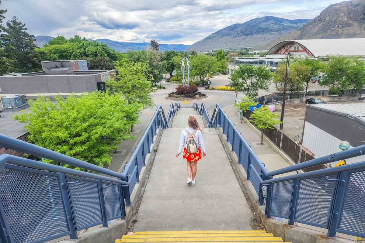 Bailey walks a bridge in Kamloops downtown