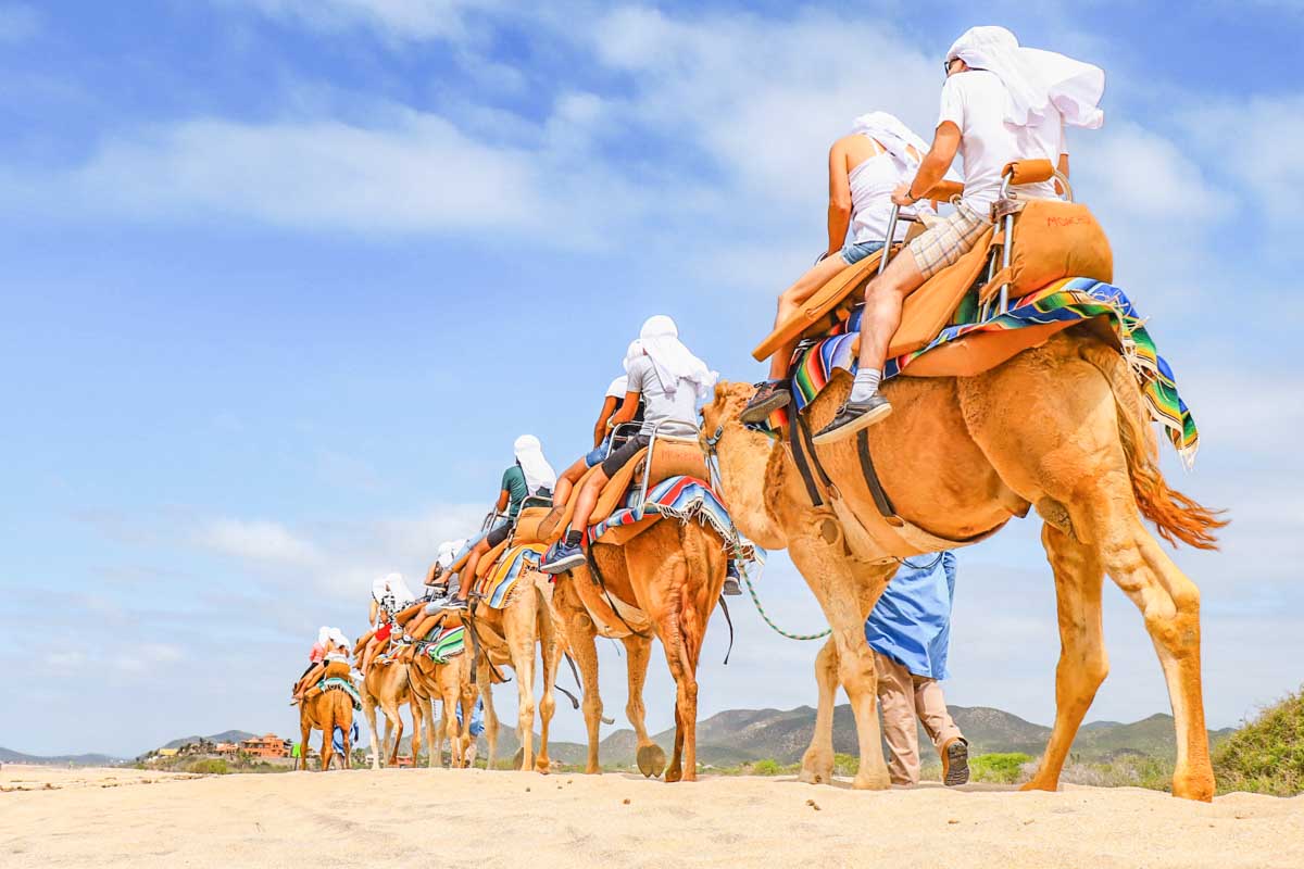 Cabo Adventures riding a camel through the desert