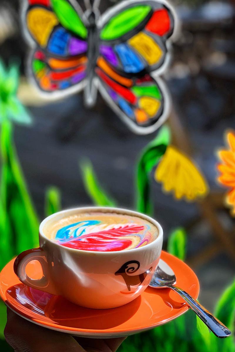 Colorful coffee art at Wicked Cup in Jasper Canada