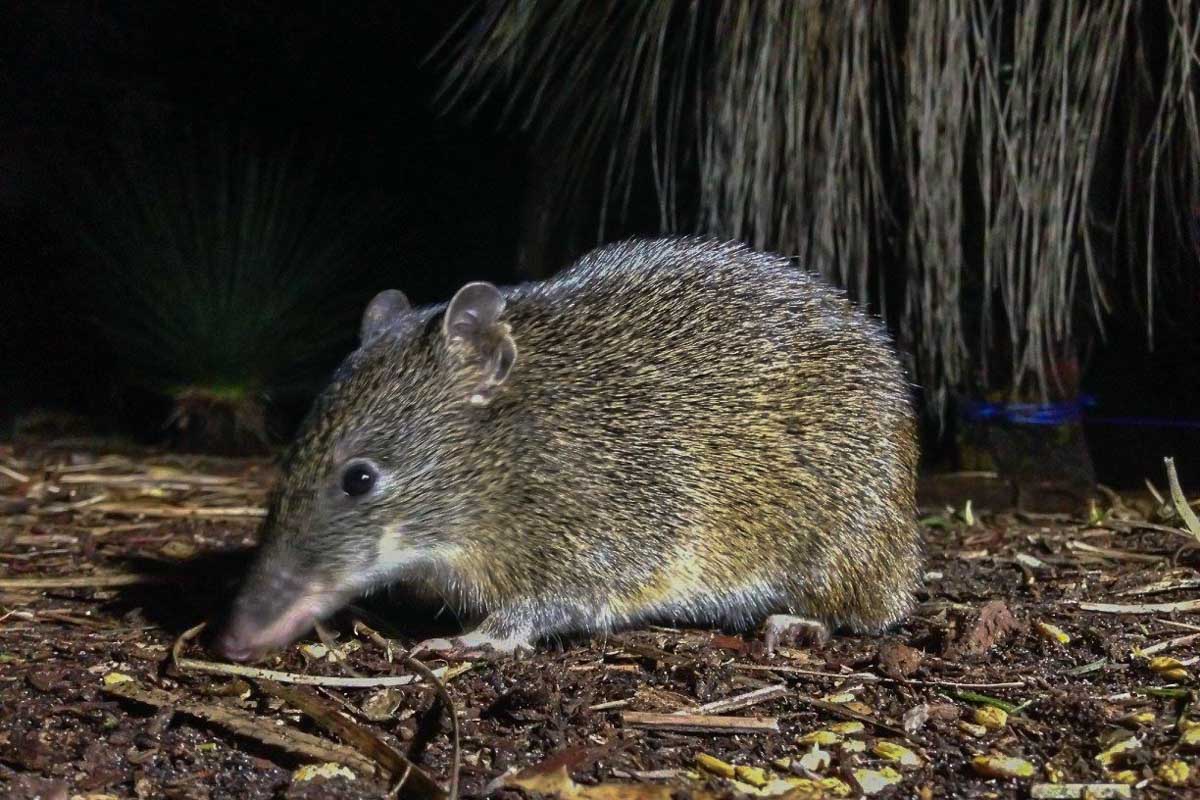 South West Eco Discoveries