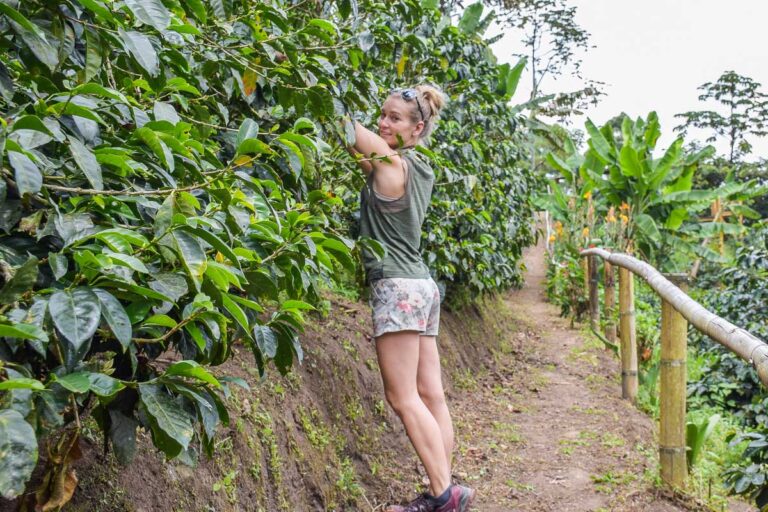 Bailey on a coffee tour in Medellin, Colombia