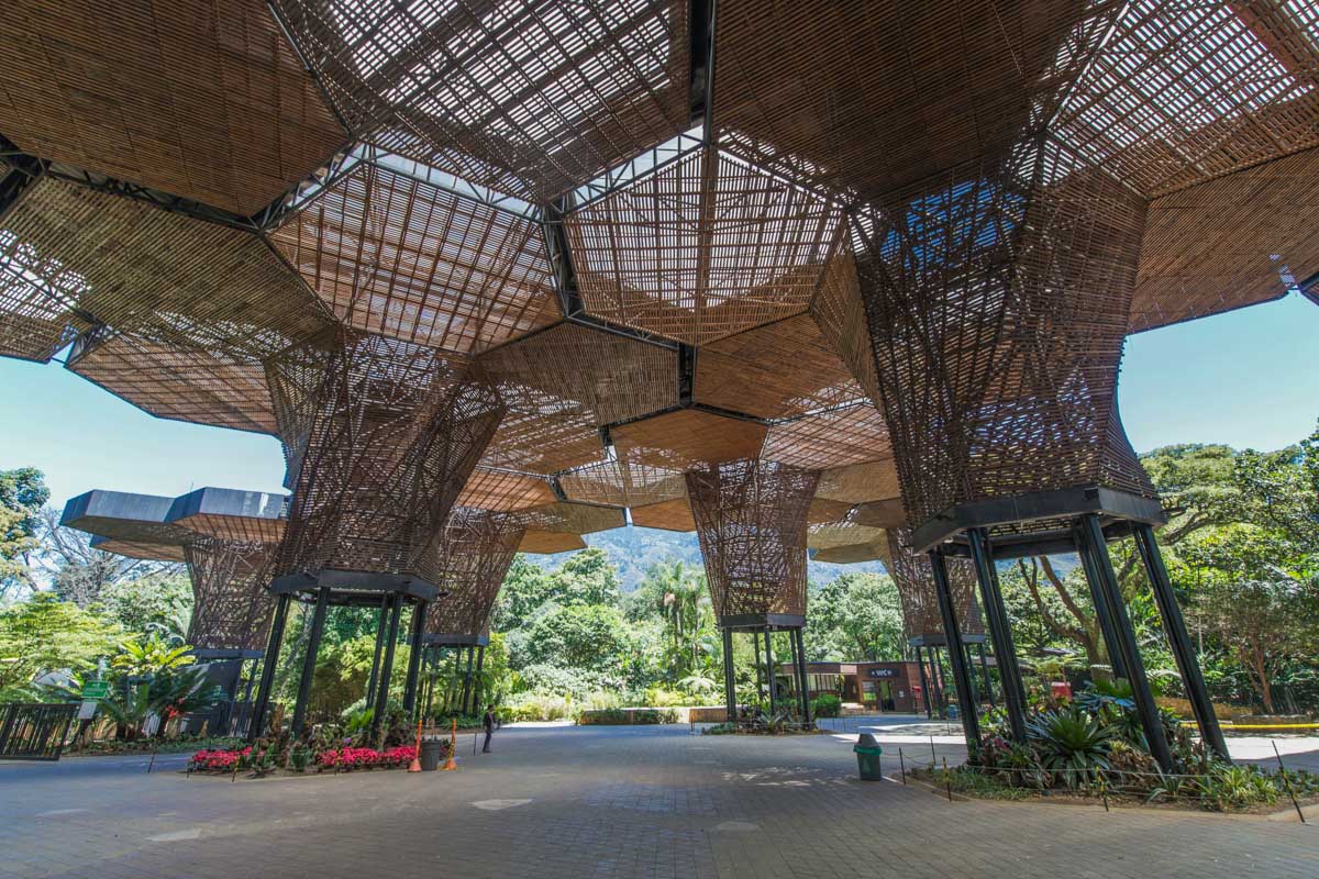 Jardín Botánico Medellín 
