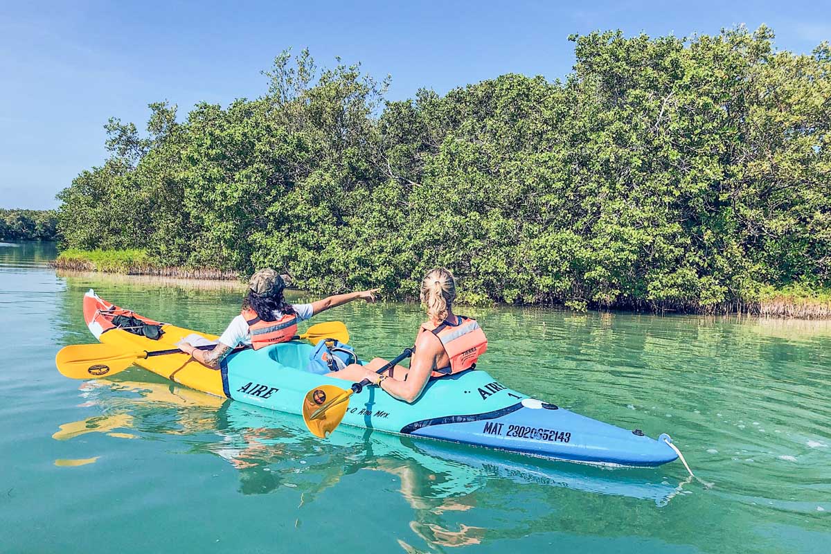 Kayaking through the mangroves on Isla Holbox, Mexico