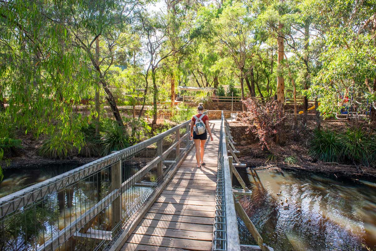 Bailey walks across a bridge at Rotary Park in Margaret River