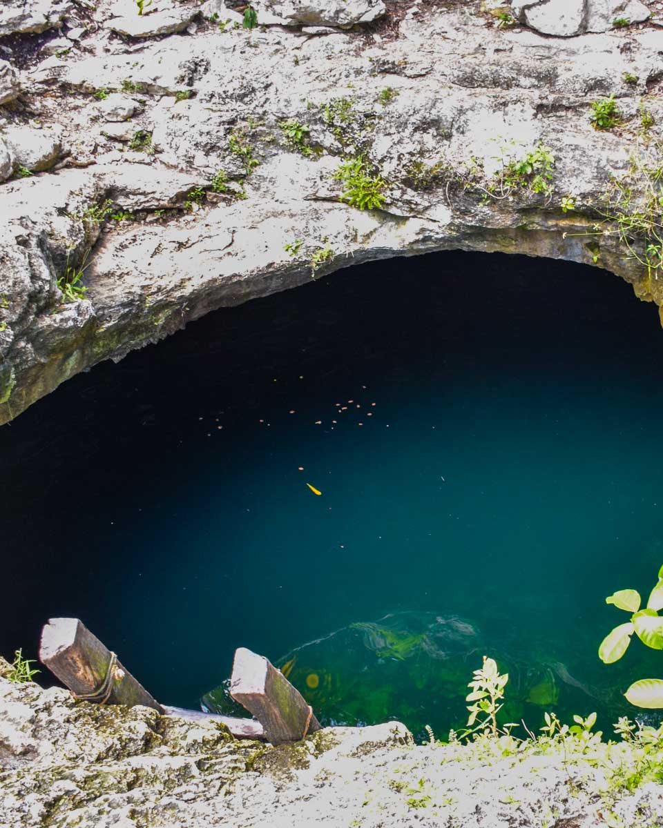 Cenote Calavera from above, Tulum, Mexico