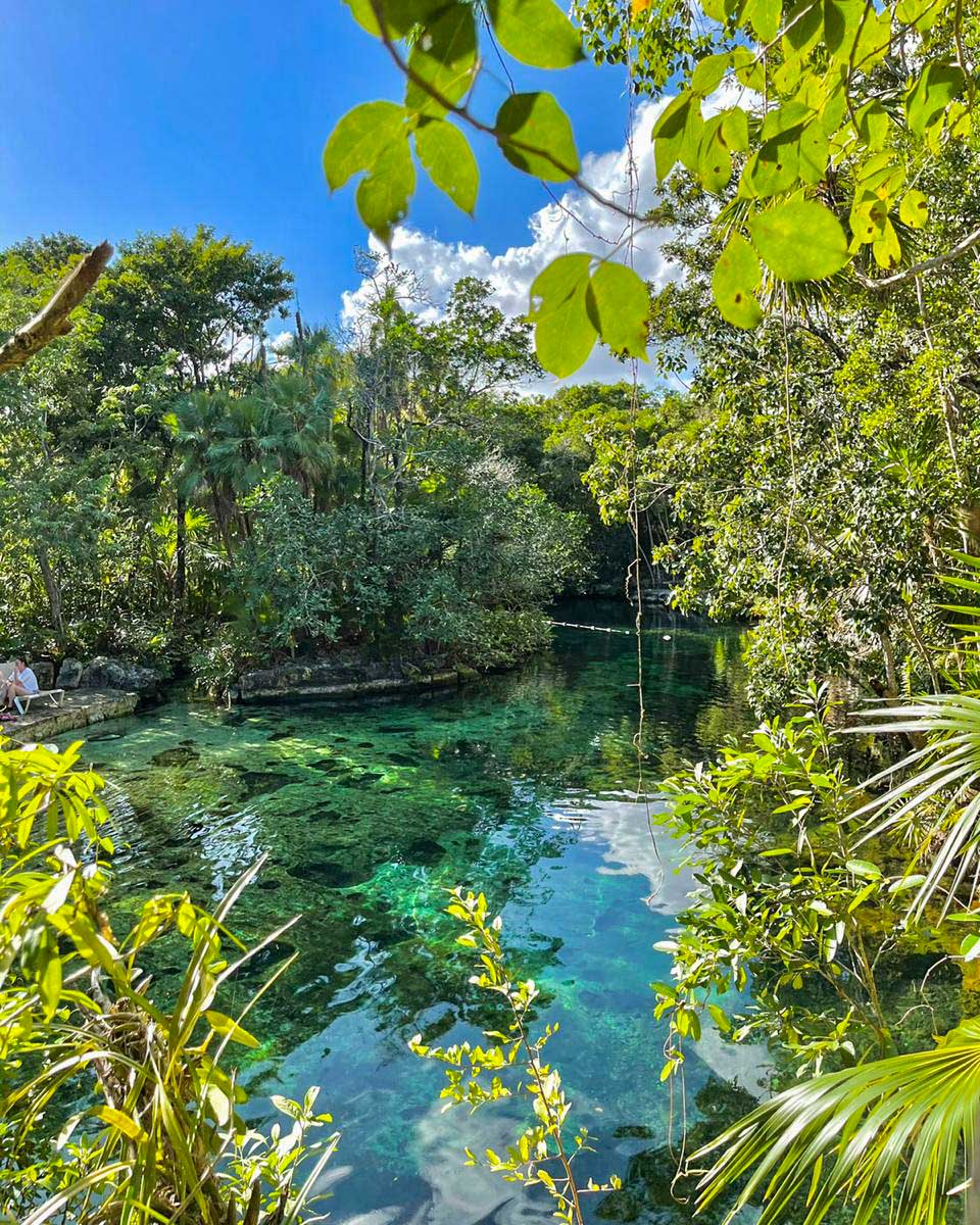 View through the bushes of Cenote Yax-kin near Tulum, Mexico