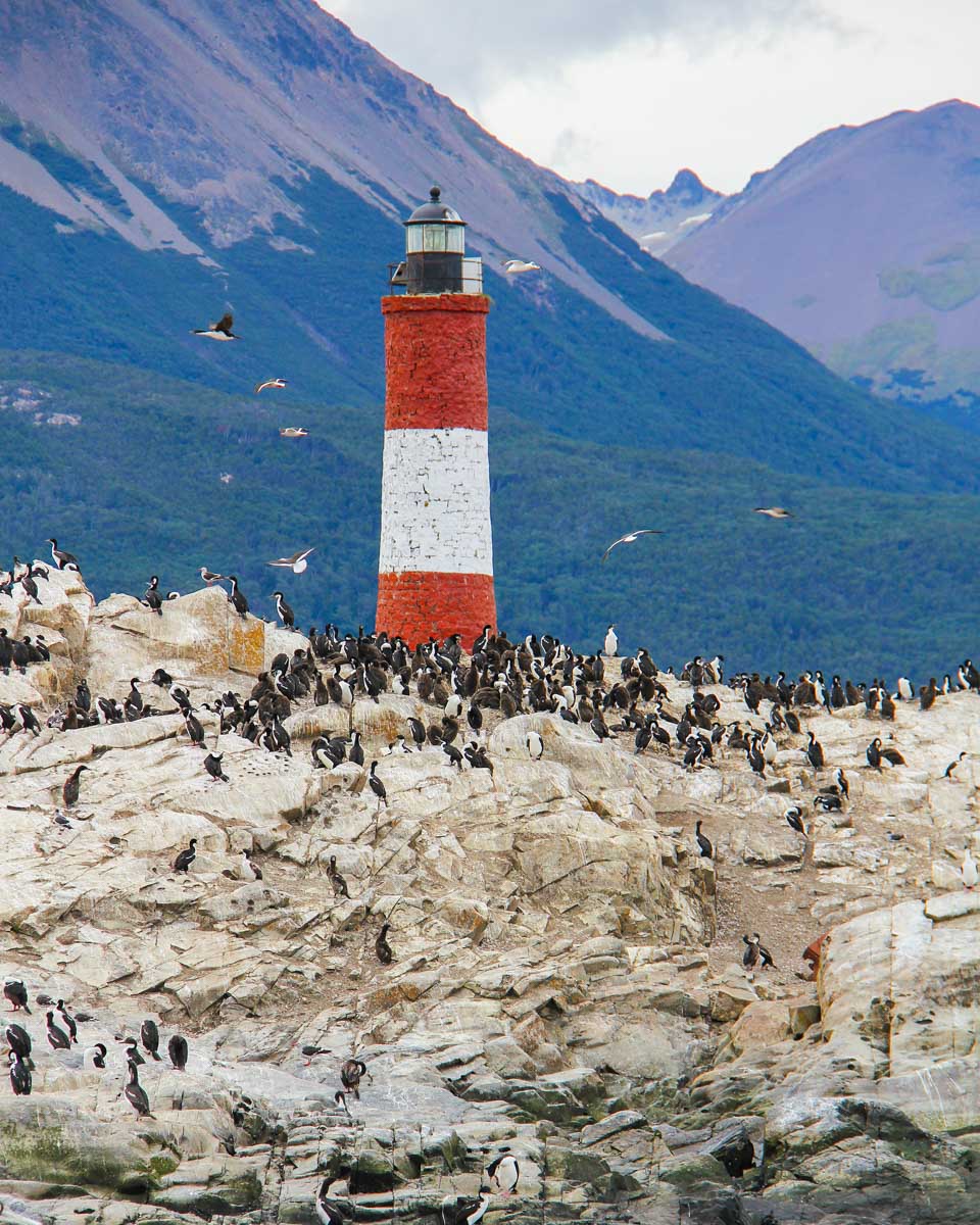 Lighthouse and penguins on the Beagle Channel near Ushuaia, Argentina