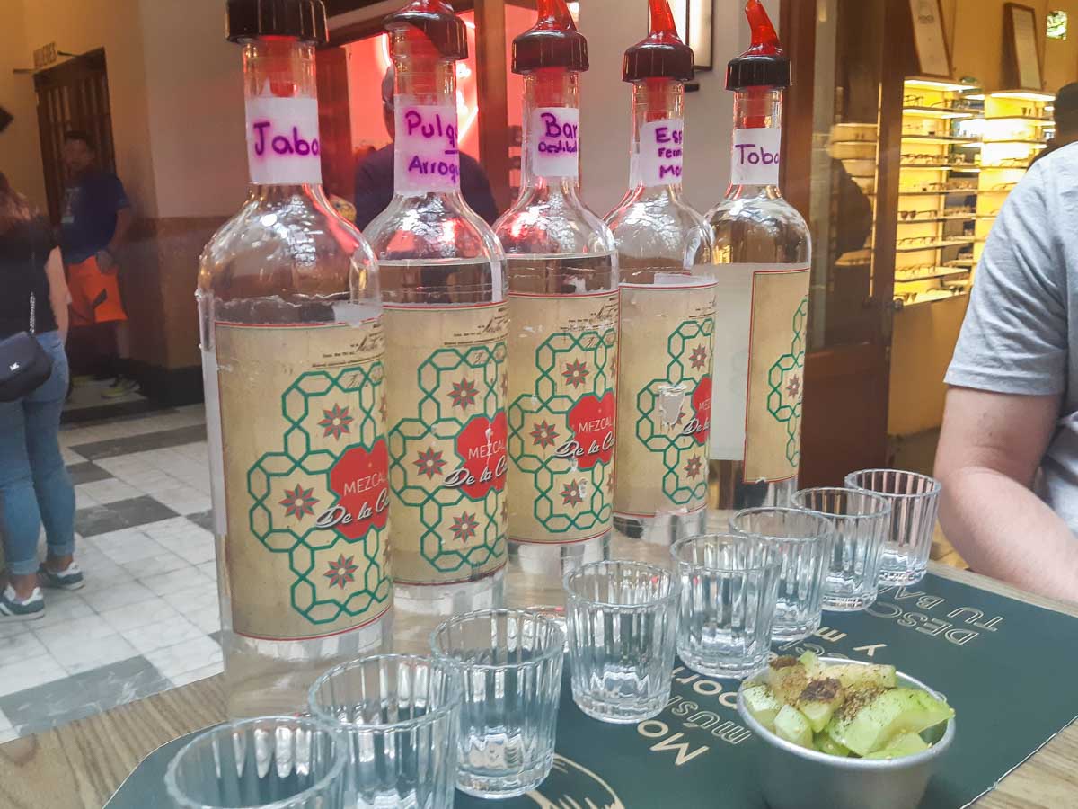 Mezcal tasting in Acapulco, Mexico