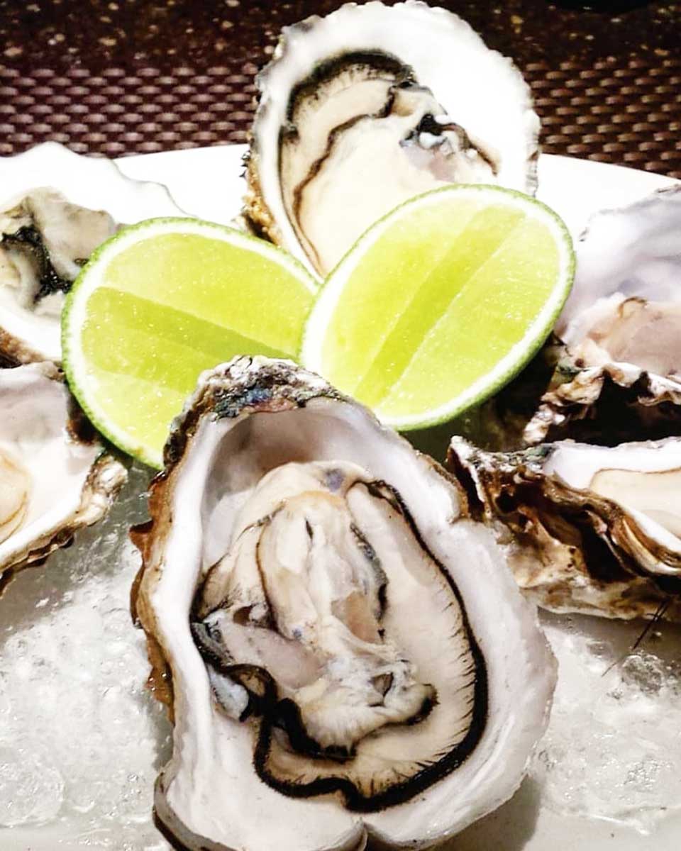 Fresh Oysters at Tr3s 3istro Restaurant & Oyster Bar in Oaxaca, Mexico