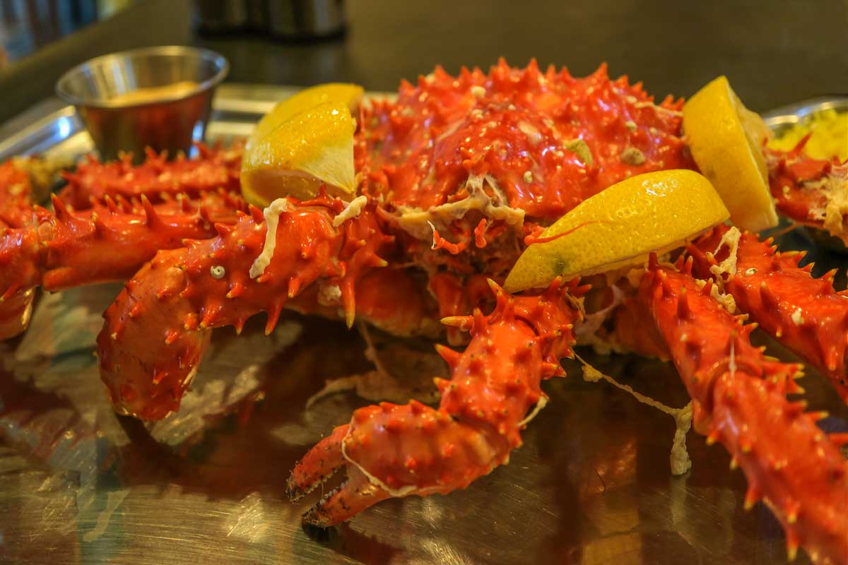 Spider crab in Ushuaia, Patagonia