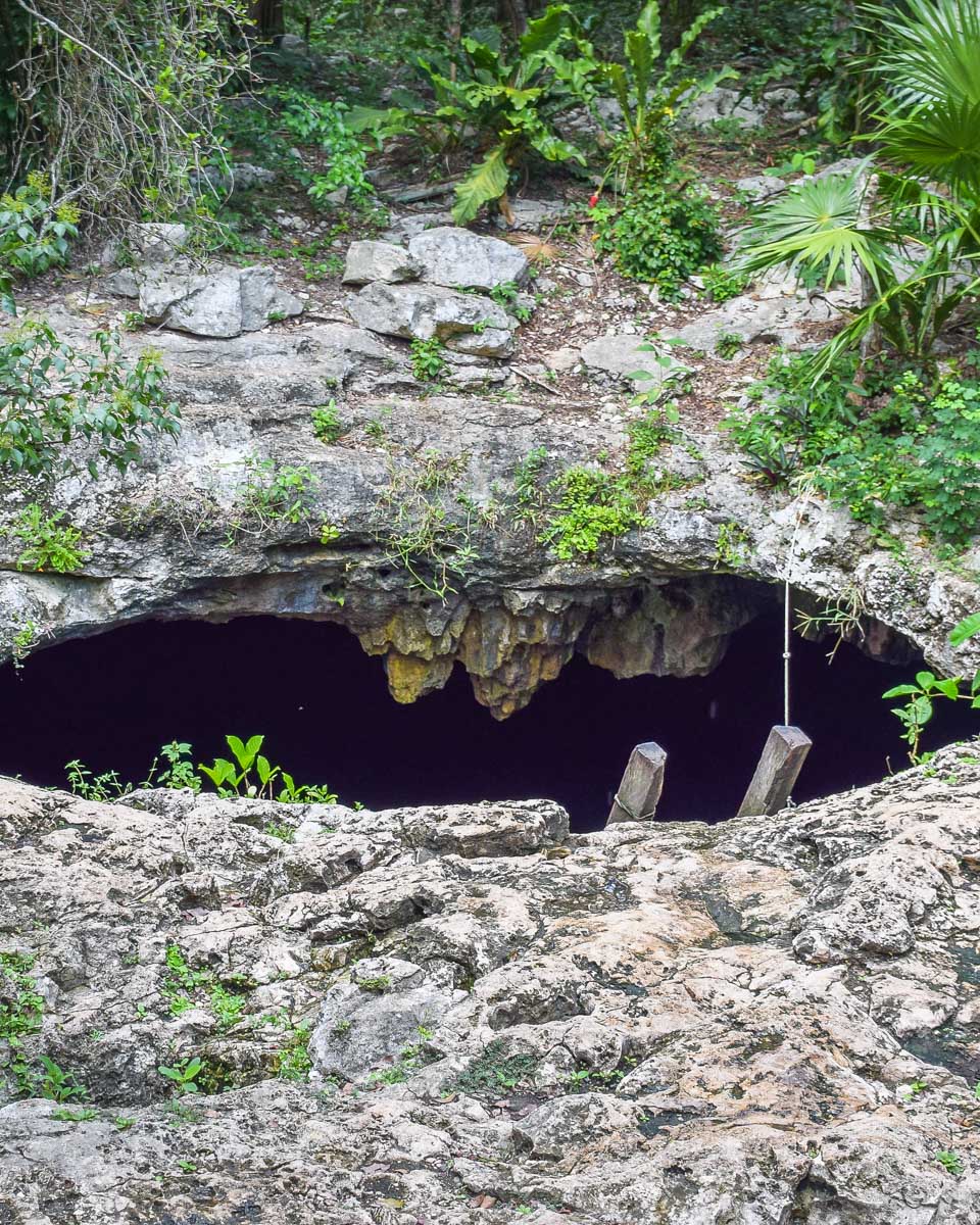 The hole and ladder of Cenote Calavera, Tulum