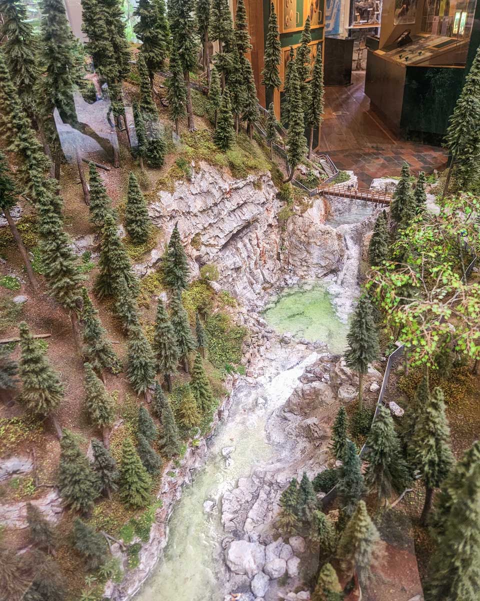 Display at the Lynn Canyon Ecology Center