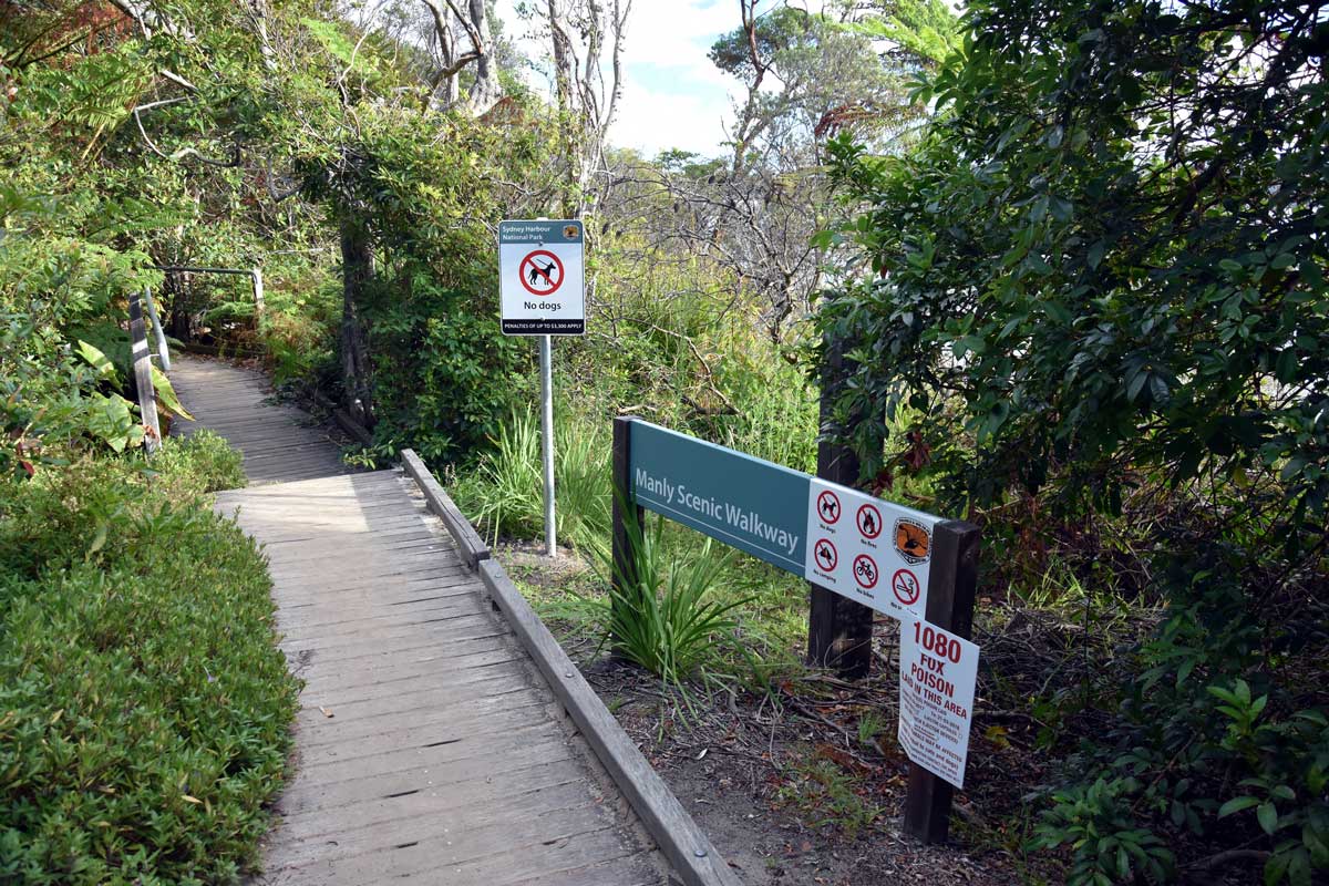 The Manly to Spit Bridge walkway in Sydney, Australia 