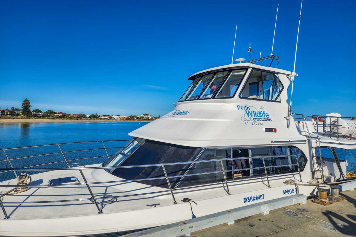 The boat used on the dolphin swimming tour in Perth., WA