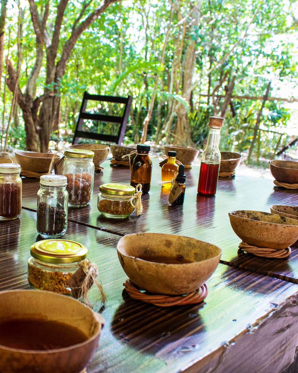 honey tasting at Xkopek Beekeeping Park in Valladolid, Mexico