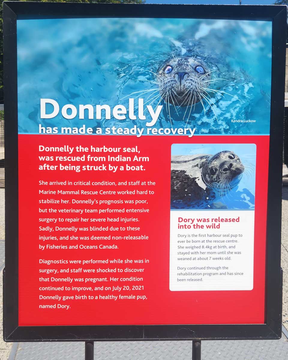 A sign giving details on one of the rescue seals at the Vancouver Aquarium