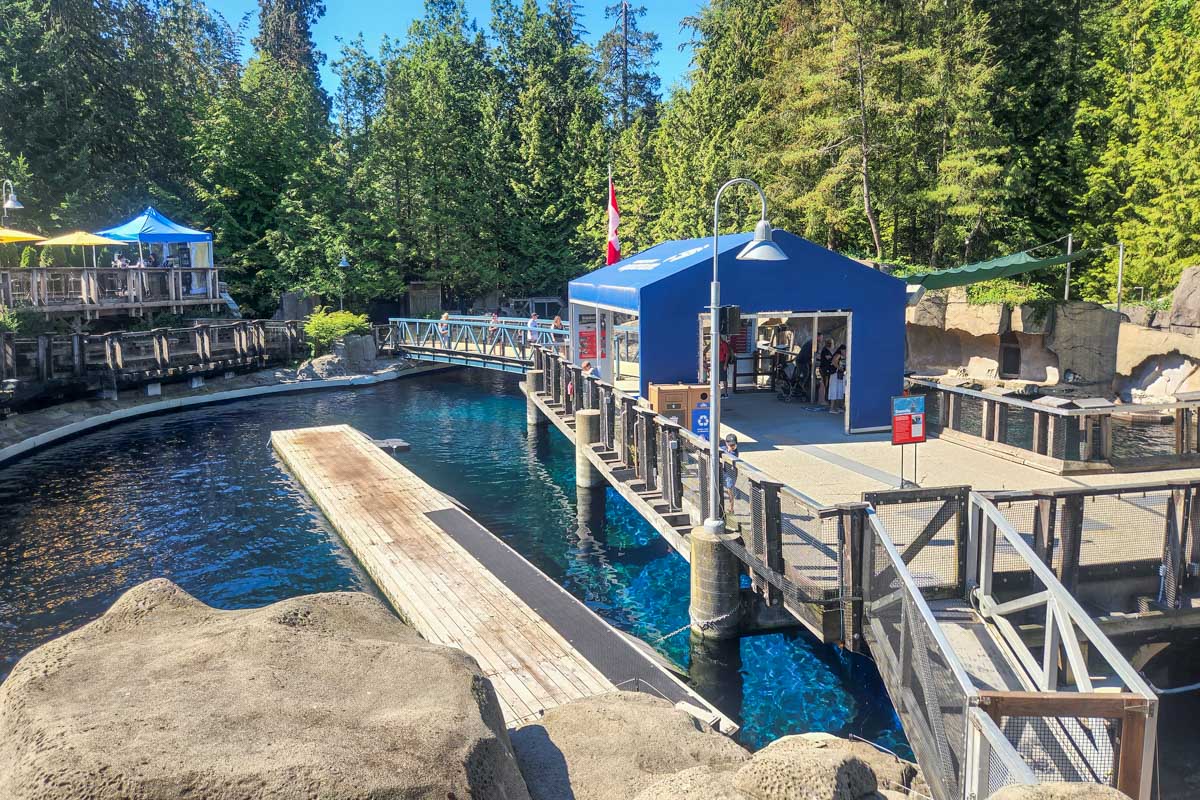 The seal enclosure at the Vancouver Aquarium
