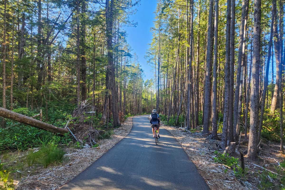 A man rides a bike through Pacific Rim National Park