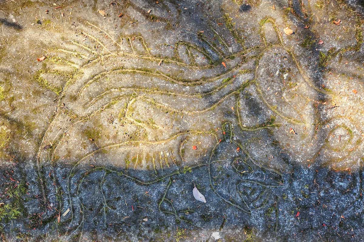 A petroglyph at Petroglyph Provincial Park