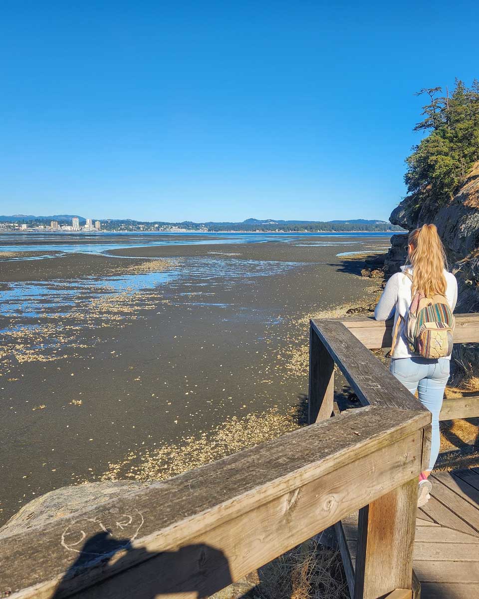 Bailey at Jack Point and Biggs Park in Nanaimo, BC