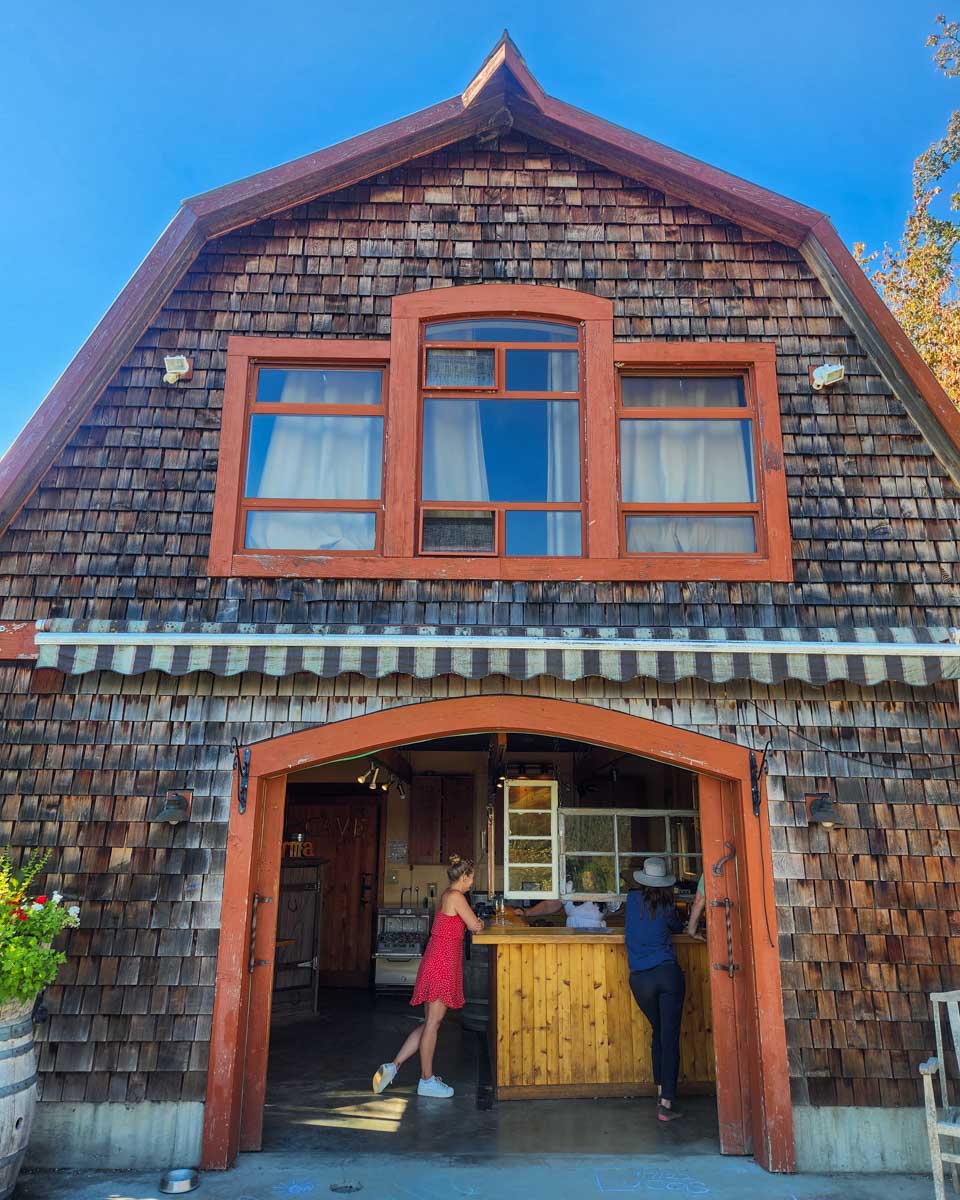 Bailey at the at the tasting room at Salt Spring Vineyards on Salt Spring Island