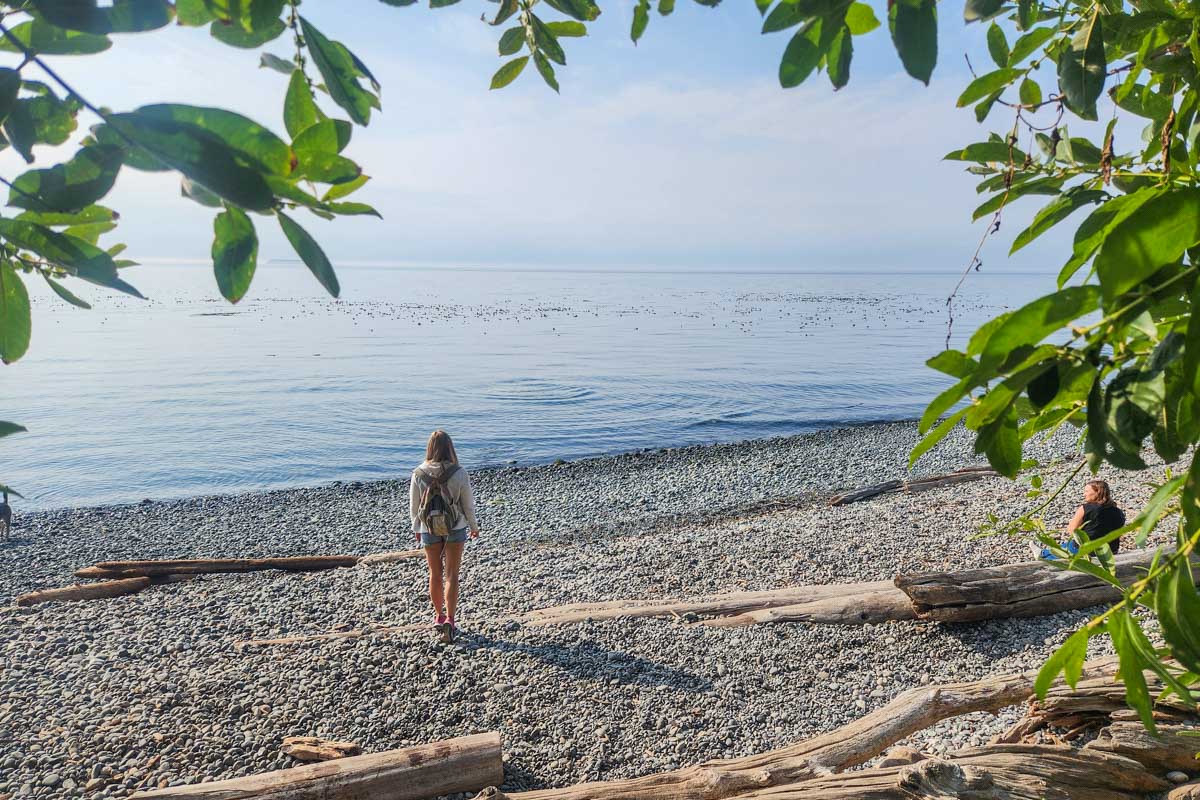 Bailey on a beach in Victoria, BC