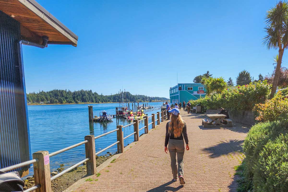 Bailey walks along the waterfront in Ucluelet, BC