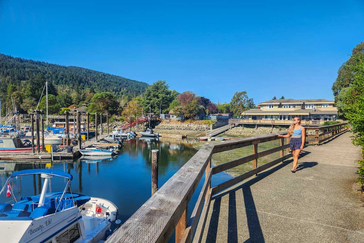 Bailey walks the waterfront in Ganges on Salt Spring Island