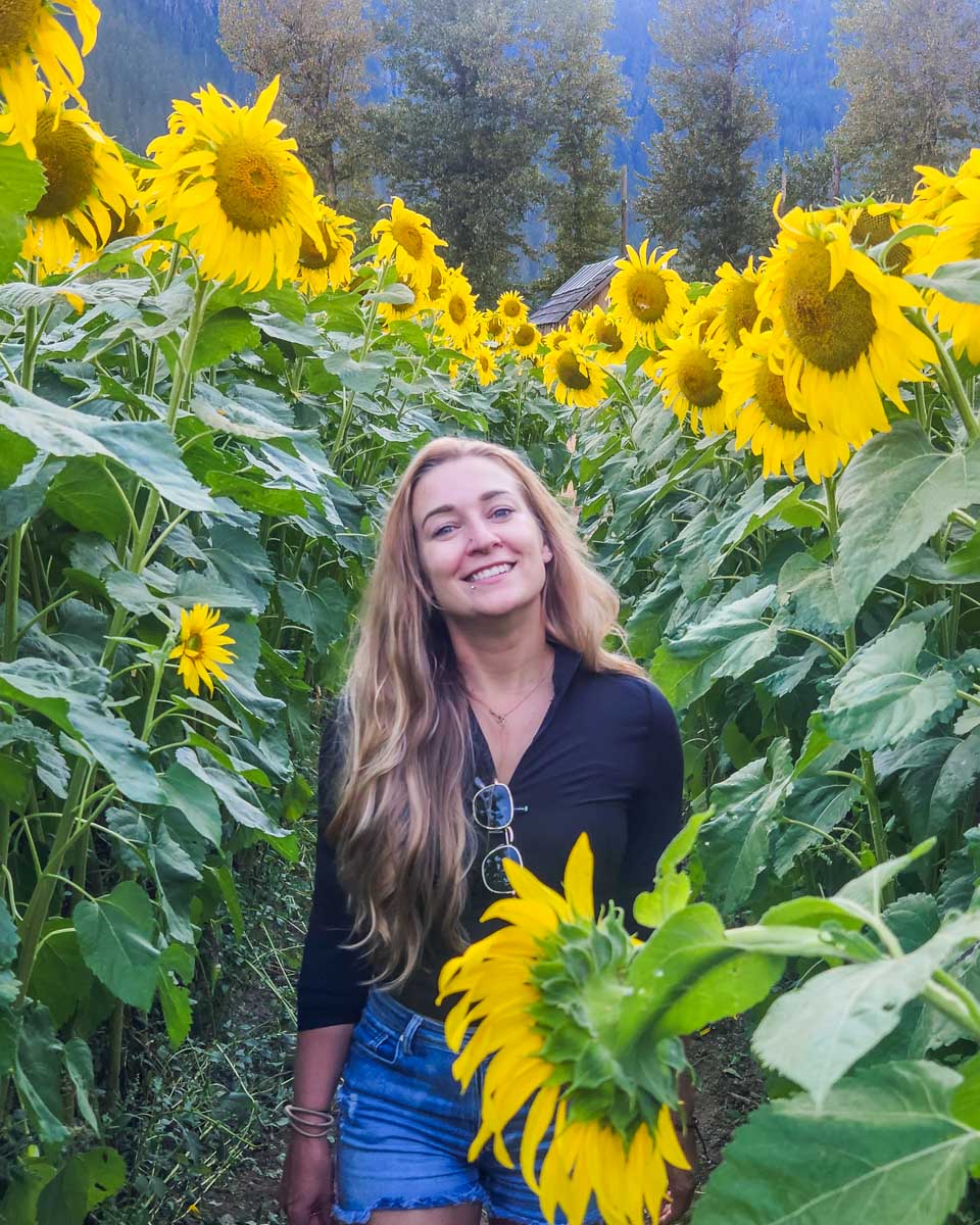 Bailey walks through the sunflower maze in Pemberton, BC