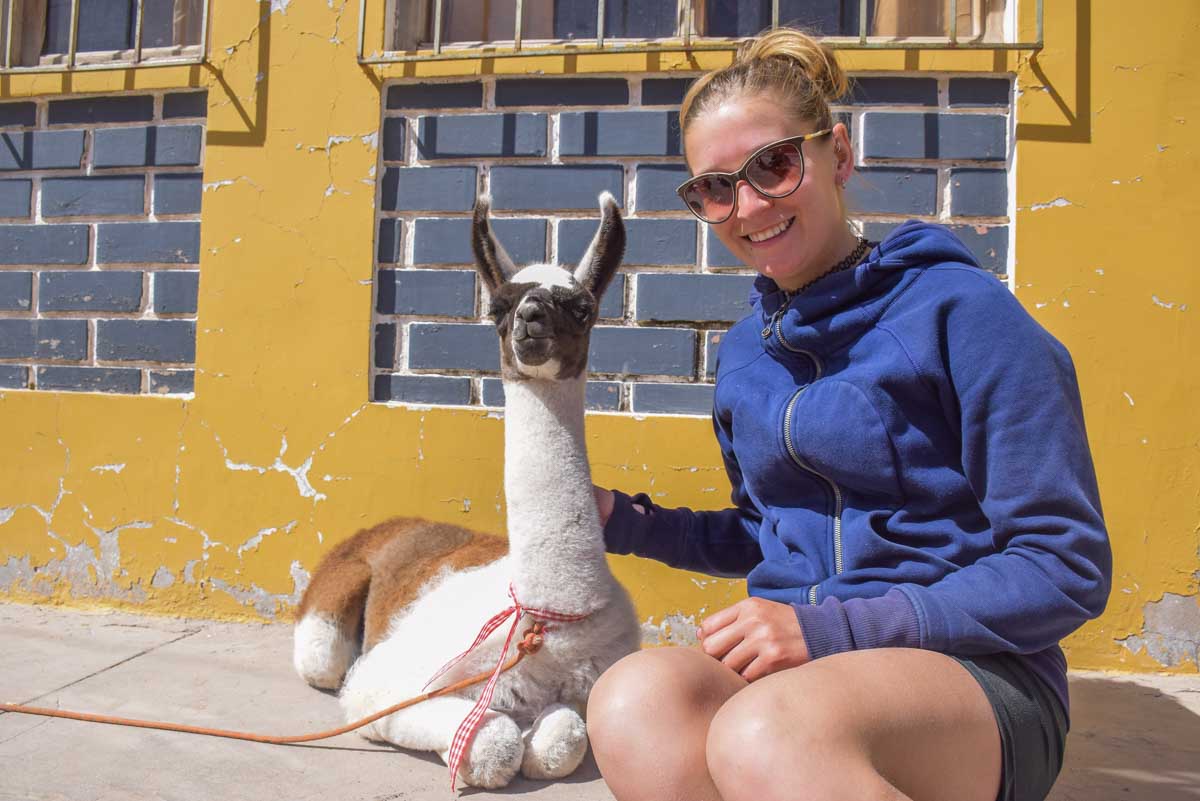Bailey with a llama in Arequipa, Peru