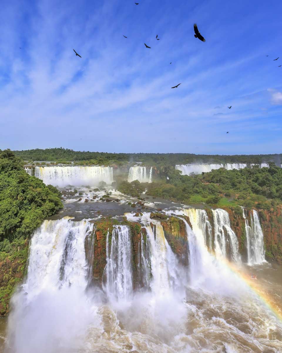 Birds fly above Iguazu Falls on the Brazilian side