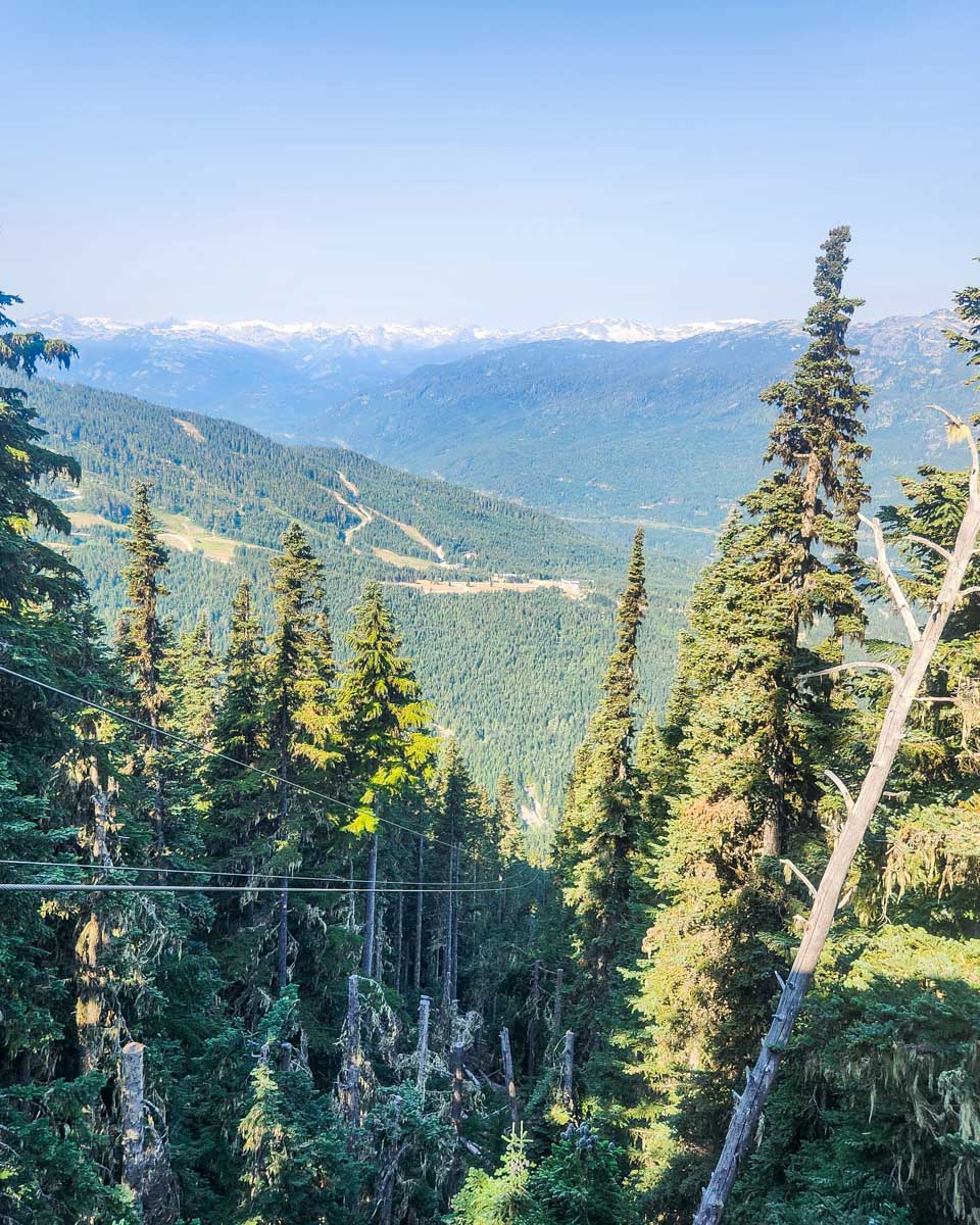 Looking down the  Sasquatch zip line in Whistler BC