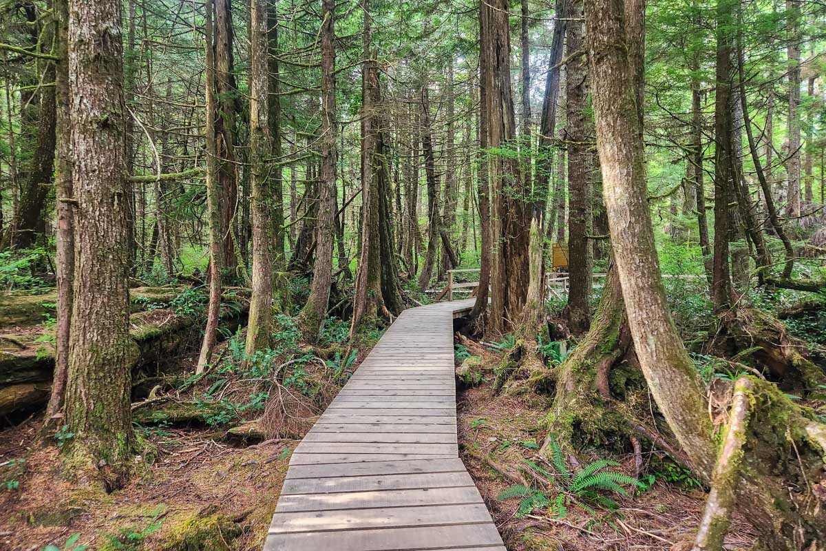 The boardwalk along the Rain Forest Trail near Tofino