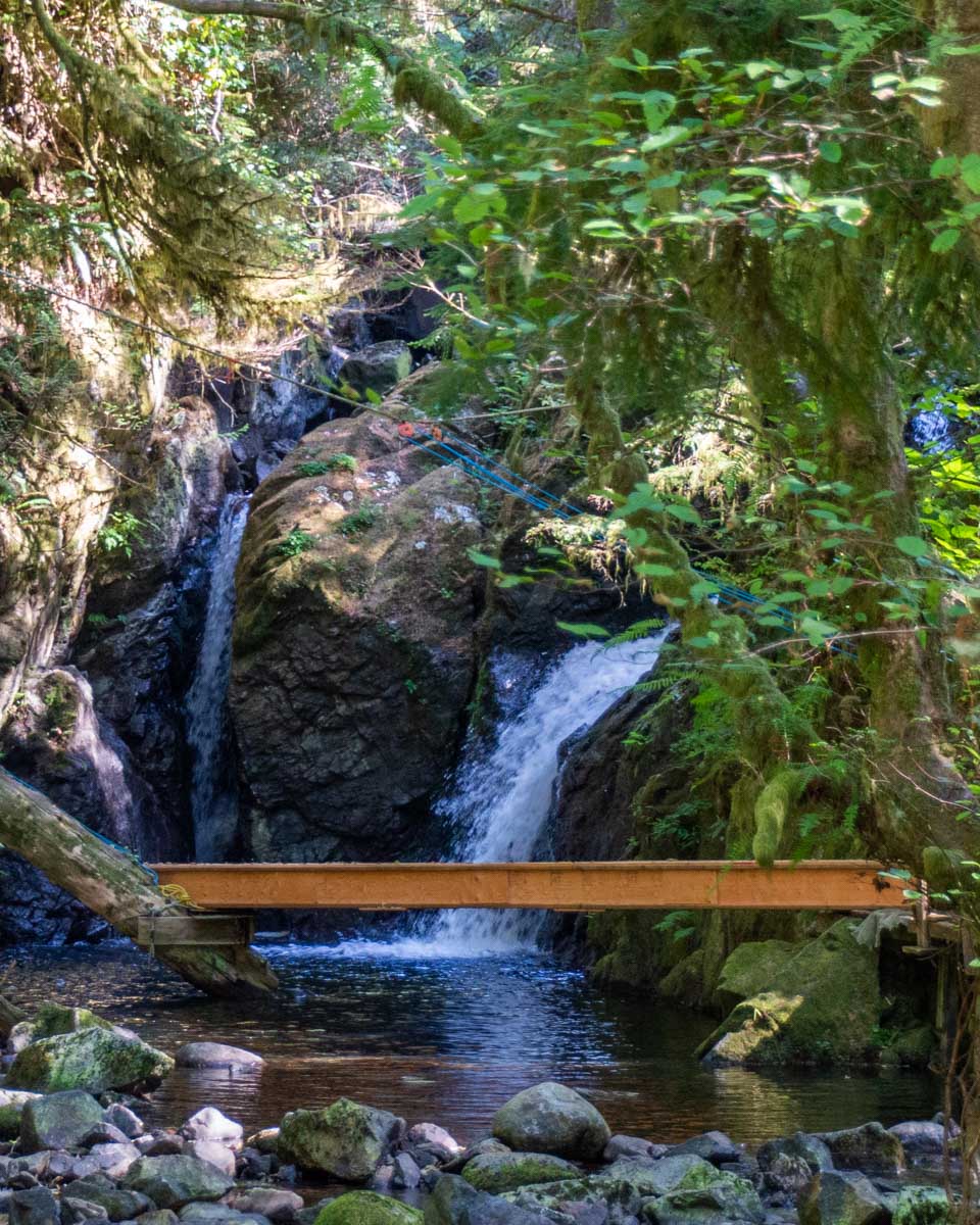The waterfall at Thornton Creek Fish Hatchery