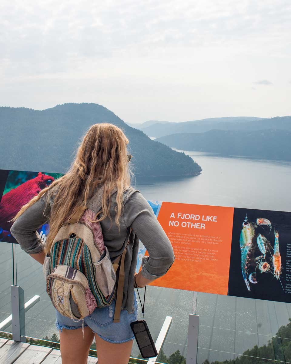 View at the Malahat Skywalk on Vancouver Island