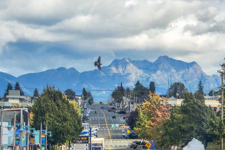 View of the road with a mountain backdrop in Port Alberni, BC