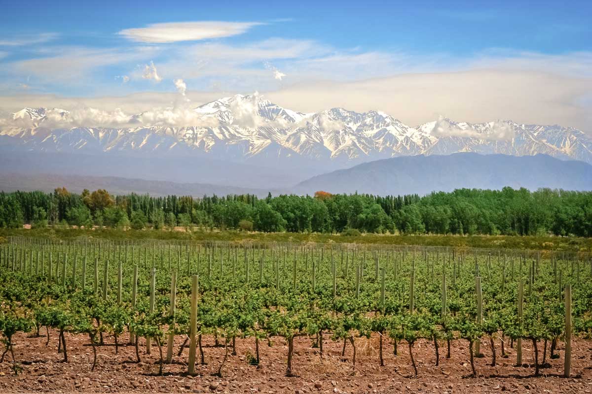 Winery with mountain backdrop in Mendoza, Argentina