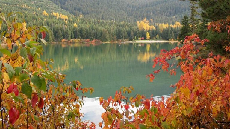 reflecting blue Lost Lake in Whistler surrounded by orange trees