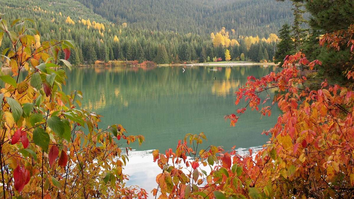 reflecting blue Lost Lake in Whistler surrounded by orange trees