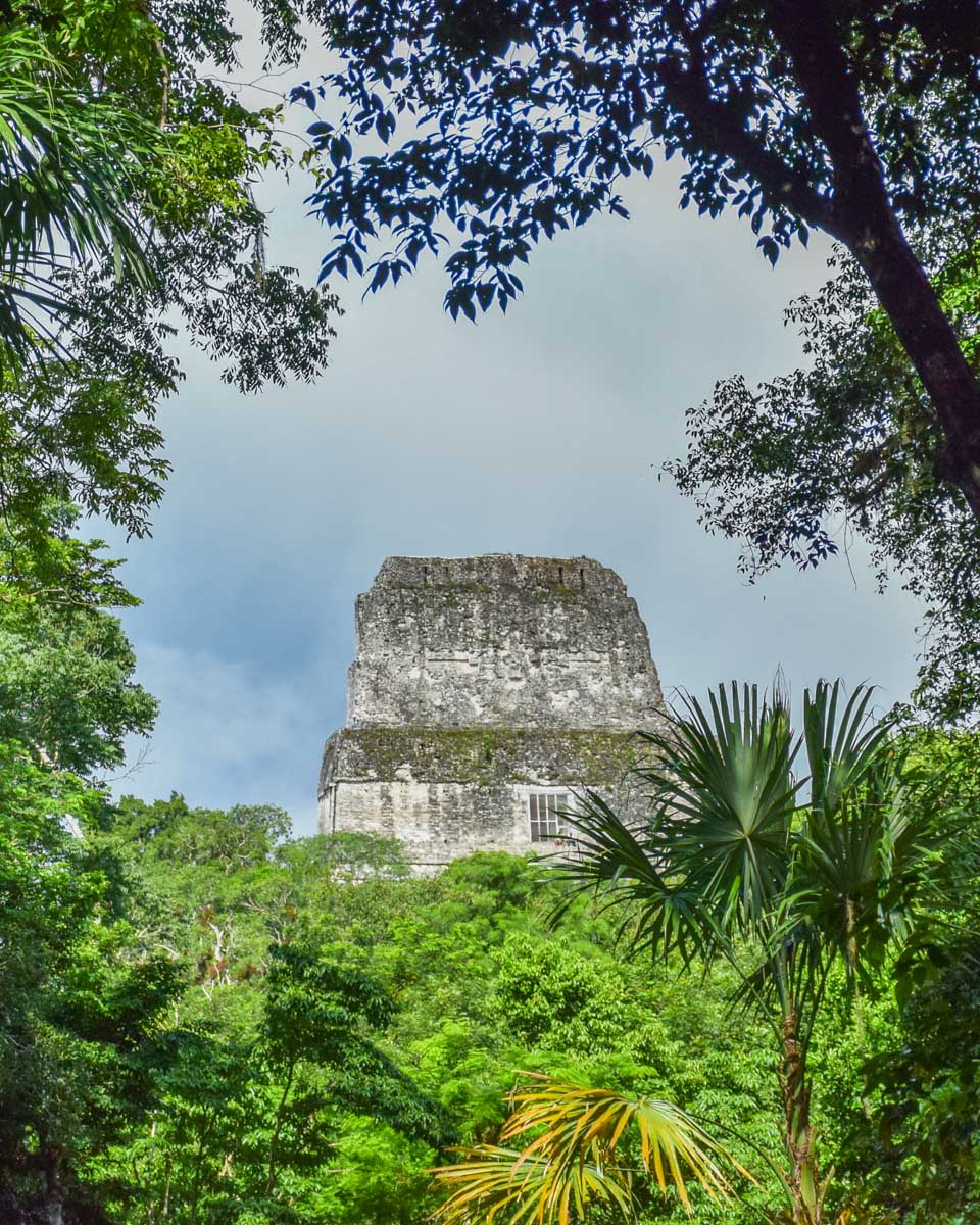 A large temple breaks through the treetops in Tikal, Guatemala