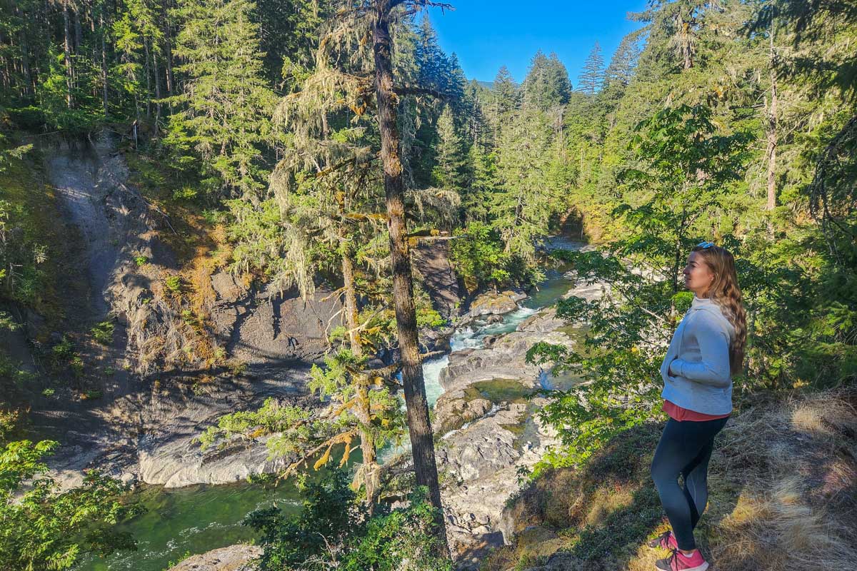 A viewpoint in Cowichan River Provincial Park