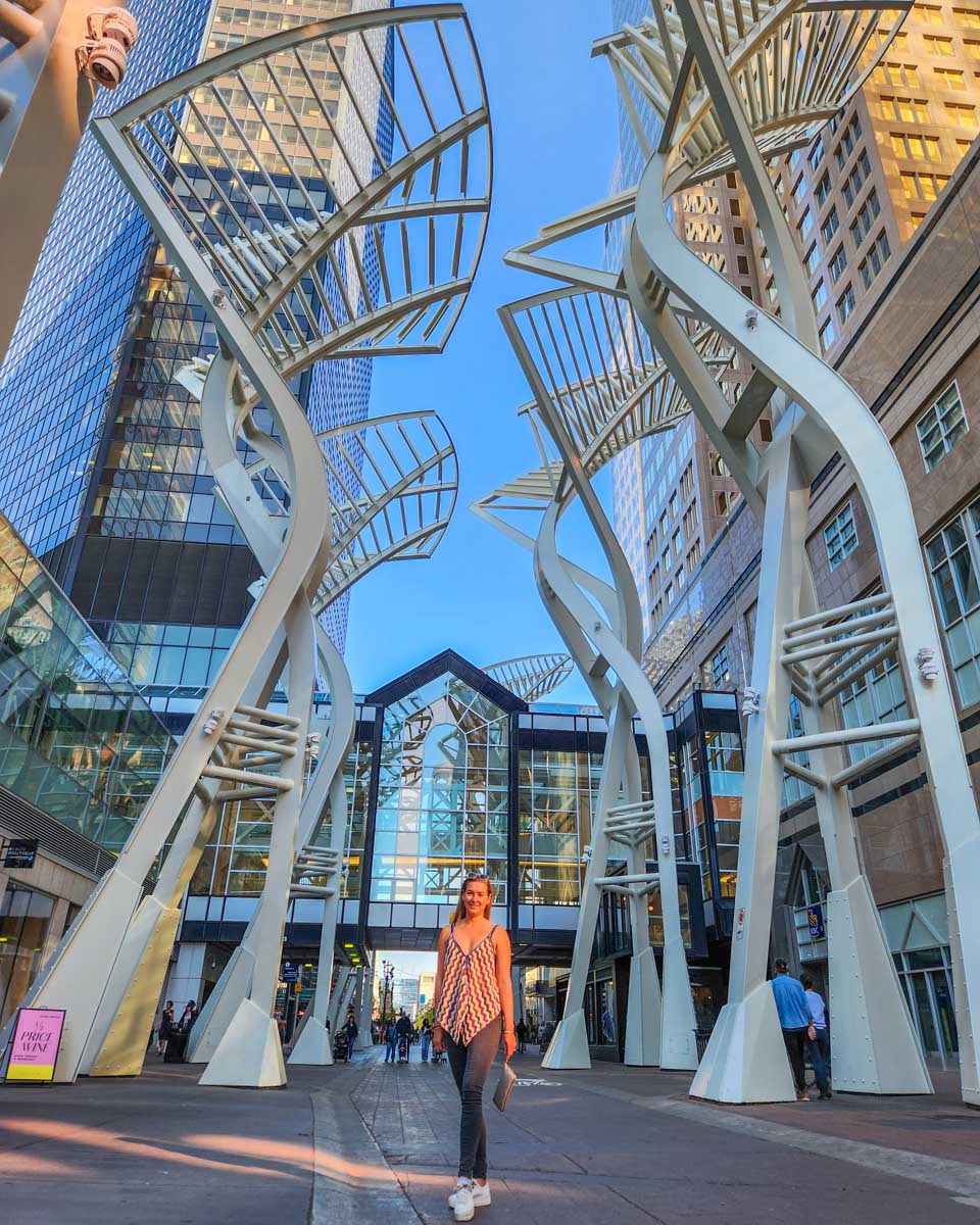 Bailey at a display on Stephens Ave at the art walk