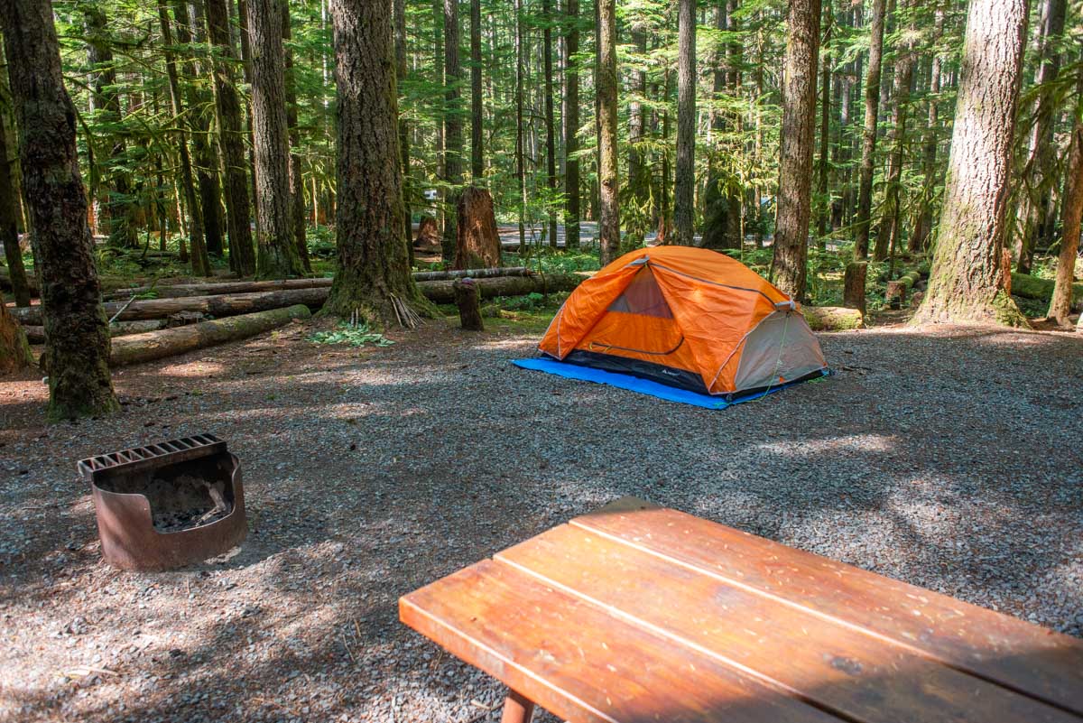 Camping at Gordon Bay Provincial Park, Lake Cowichan