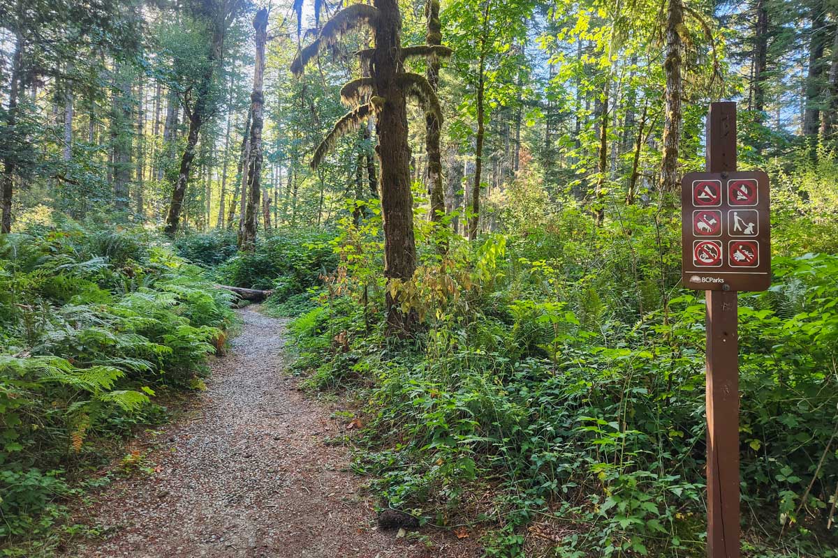 Cowichan Valley trail, LAke Cowichan
