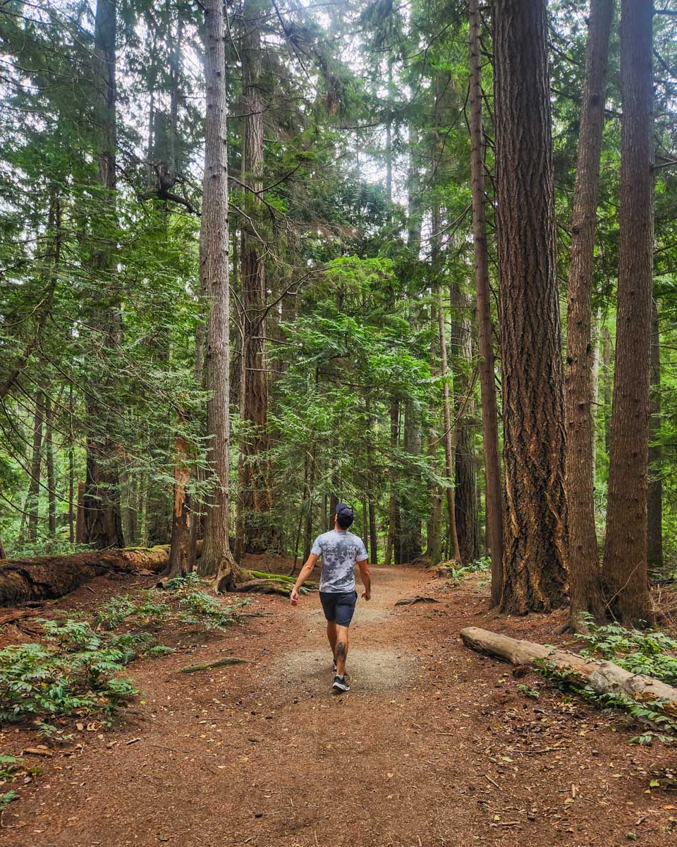 Daniel hiking in the Heritage Forest in Qualicum Beach