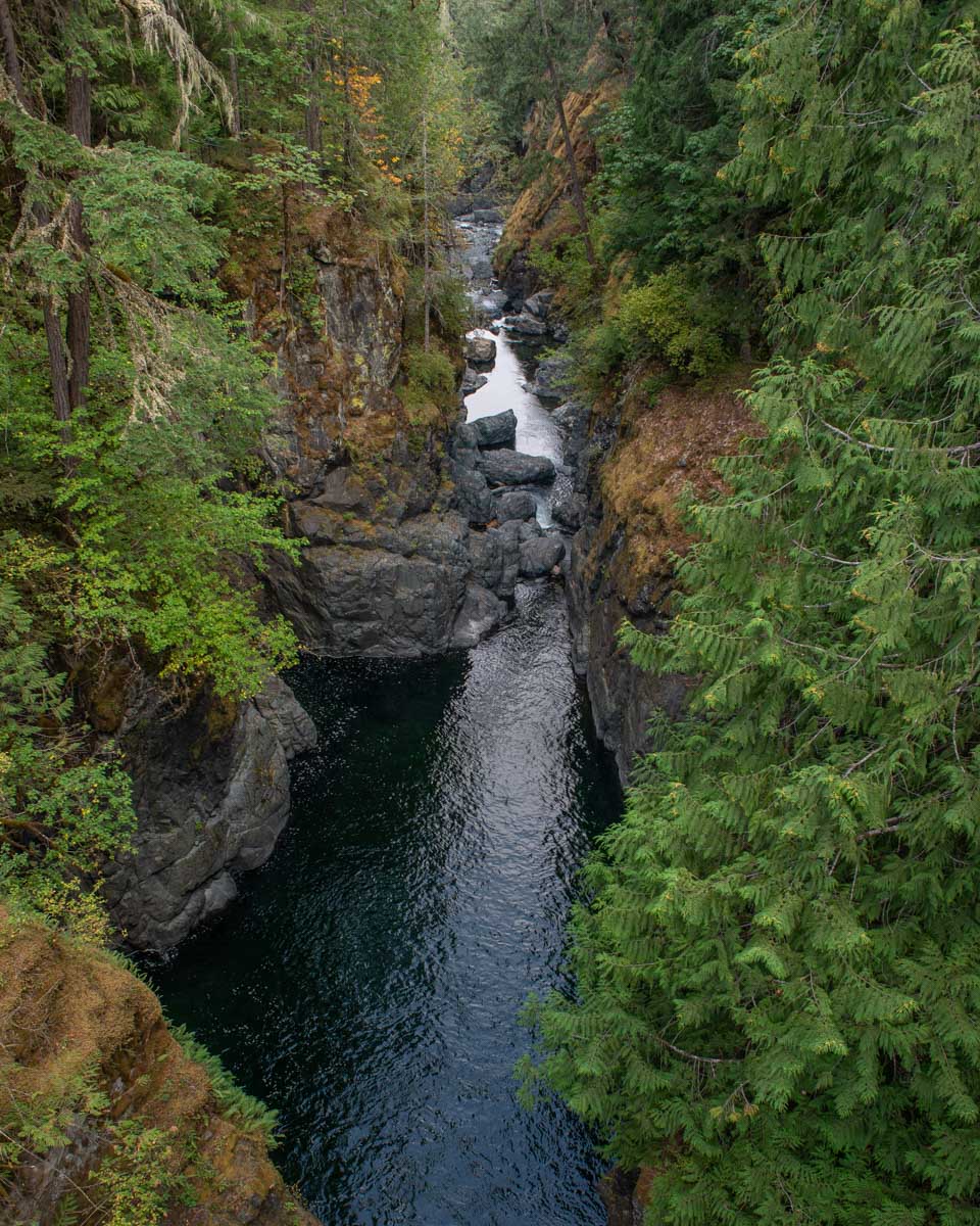 Englishman River Falls Provincial Park canyon