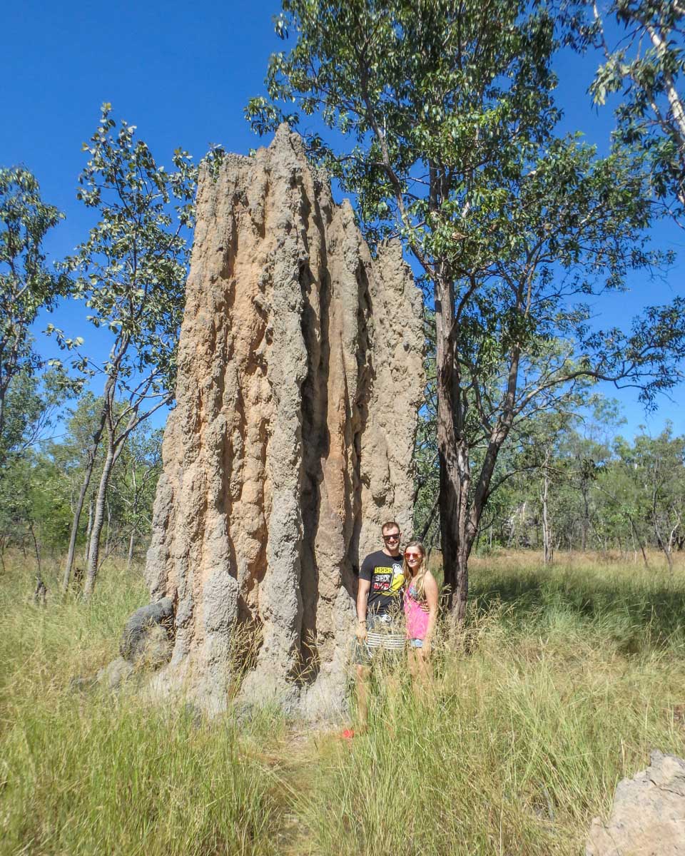 Giant ant mound in Kakadu National Park