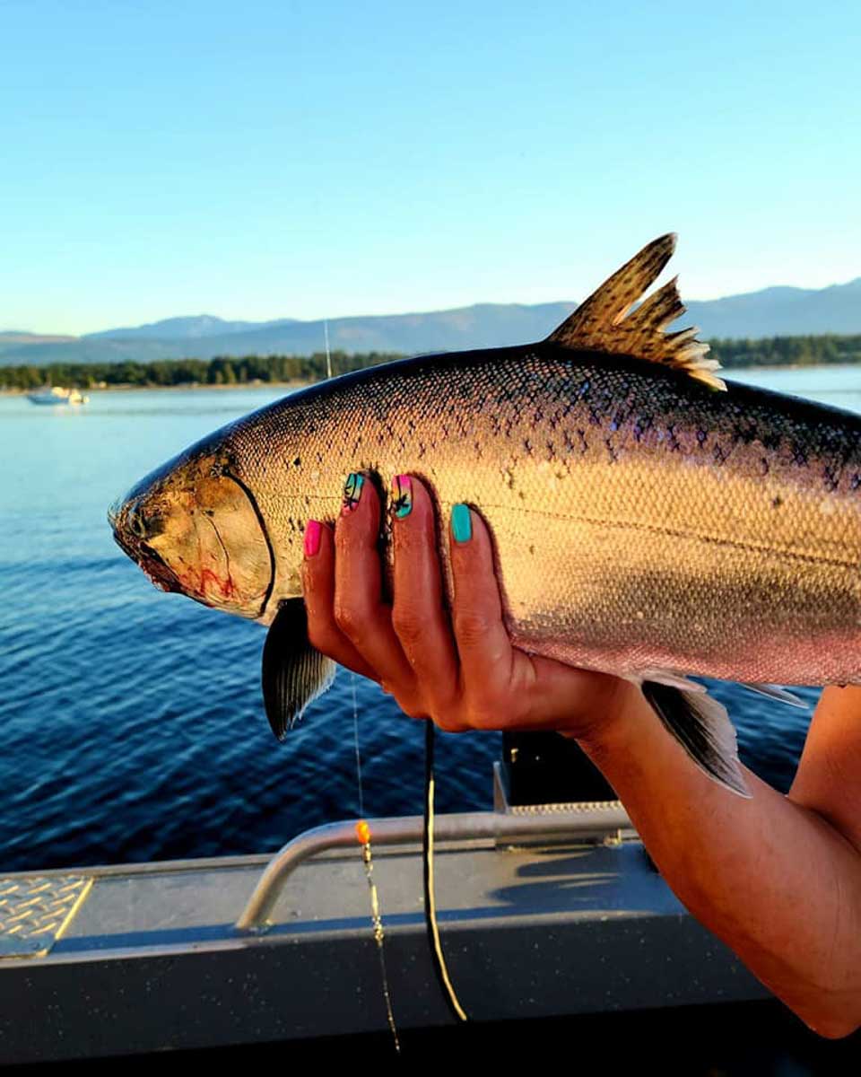 A fish caught on a tour in Parksville, Canada